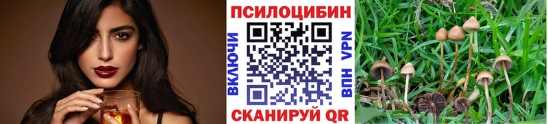 мега ссылка  Спасск-Рязанский  Галлюциногенные грибы Cubensis 